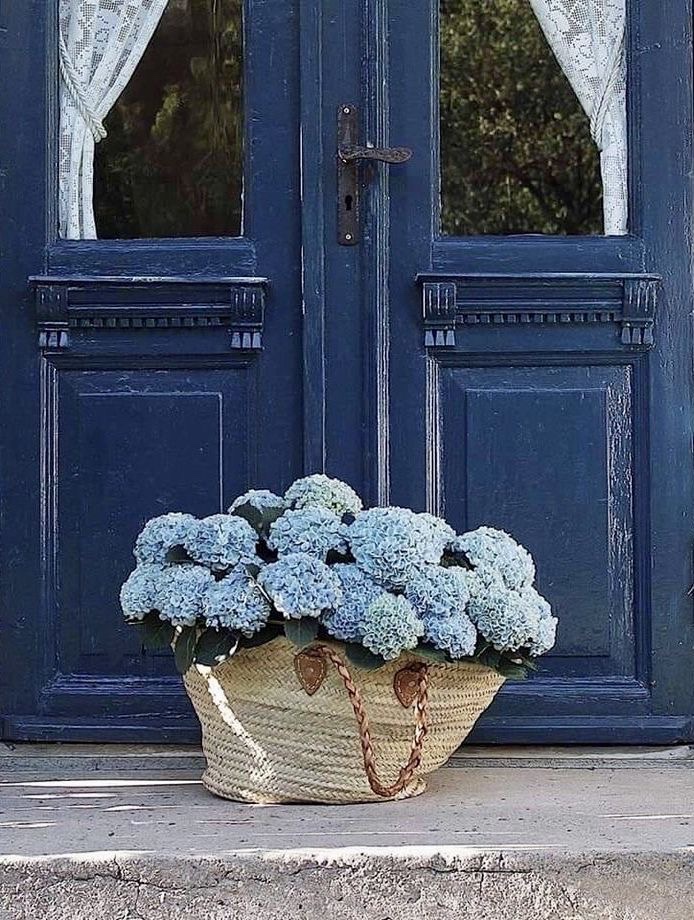 A Few Good Reads&nbsp;6/30/23