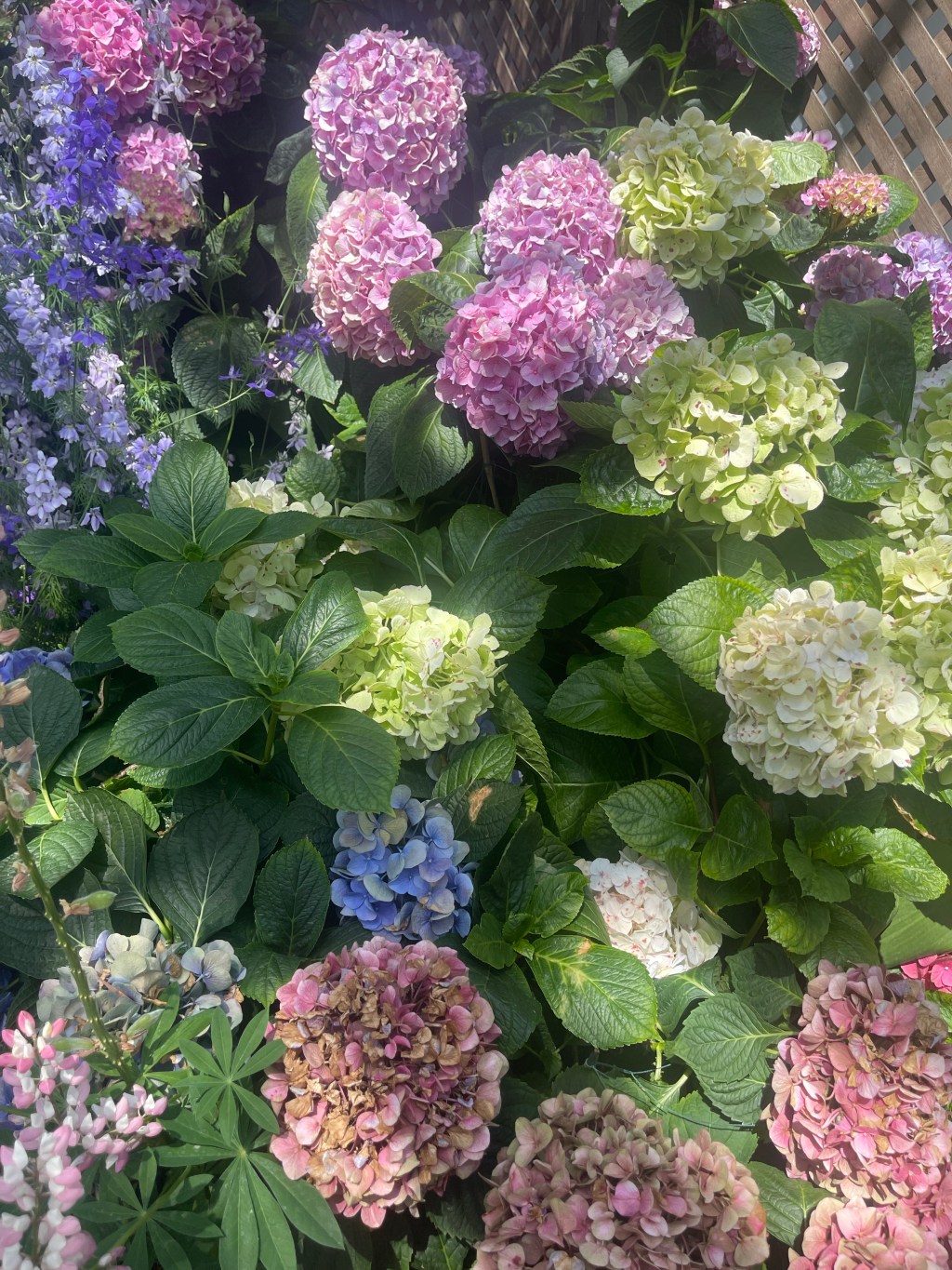 A Few Good Reads&nbsp;7/28/23